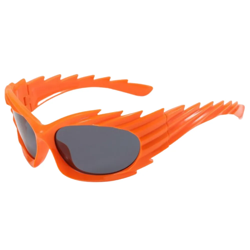 American Hedgehog Sunglasses