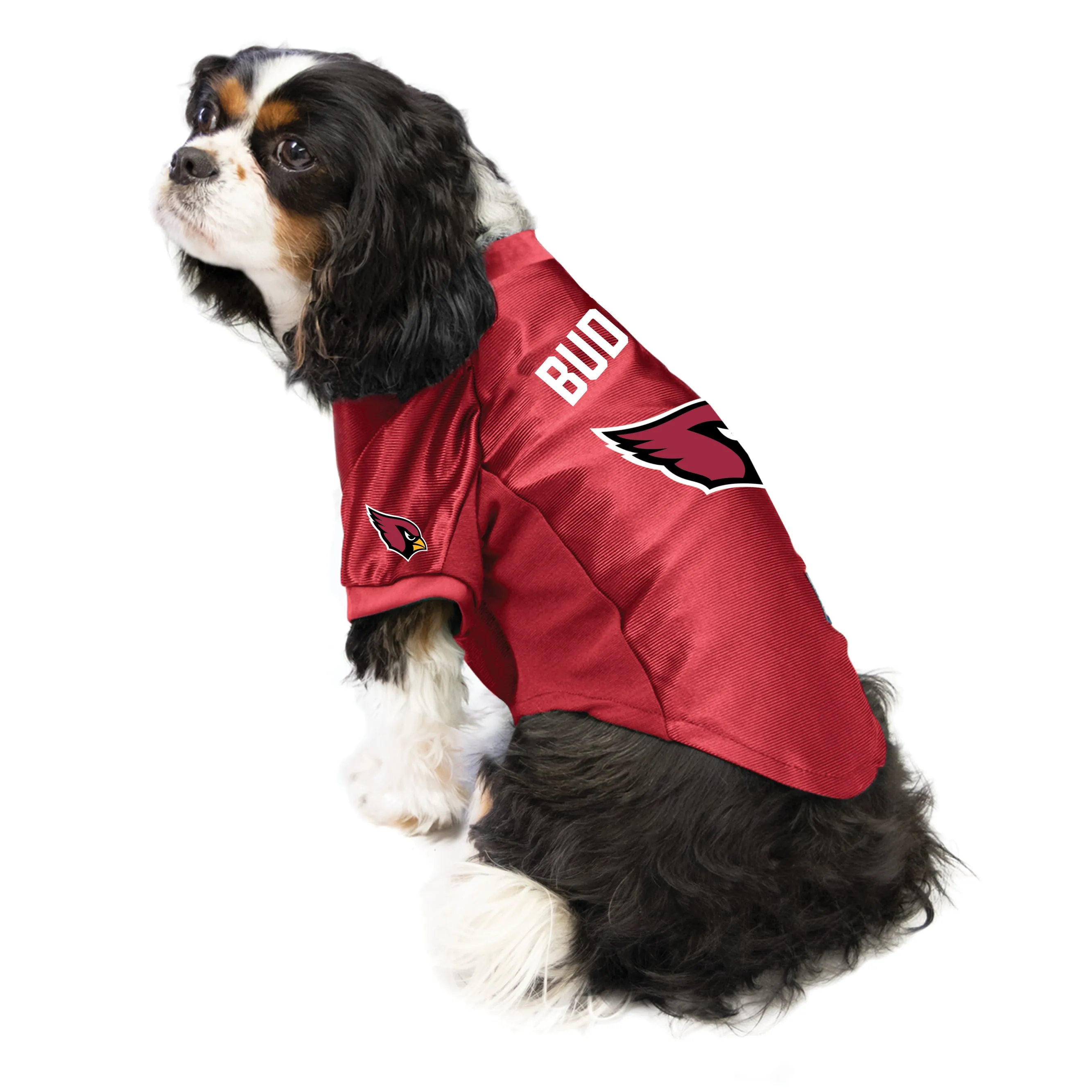 Arizona Cardinals Custom Pet Stretch Jersey