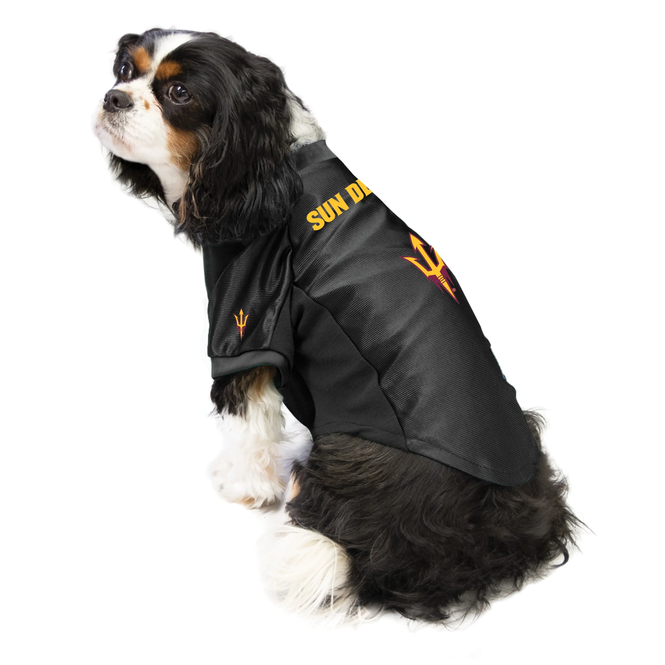 Arizona State University Pet Stretch Jersey