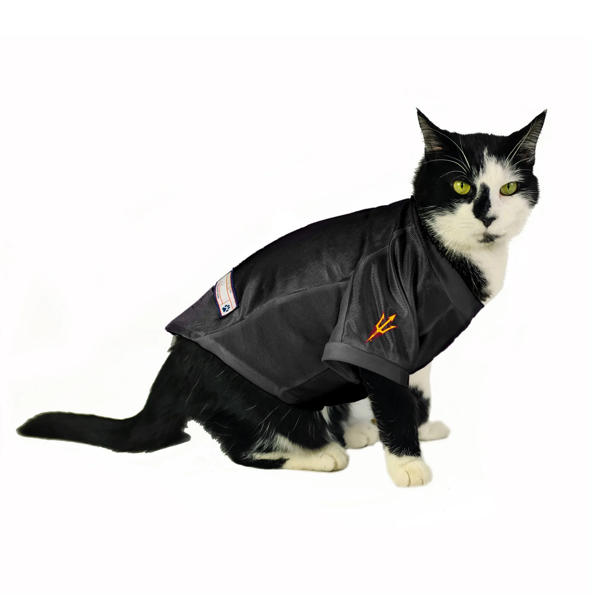 Arizona State University Pet Stretch Jersey