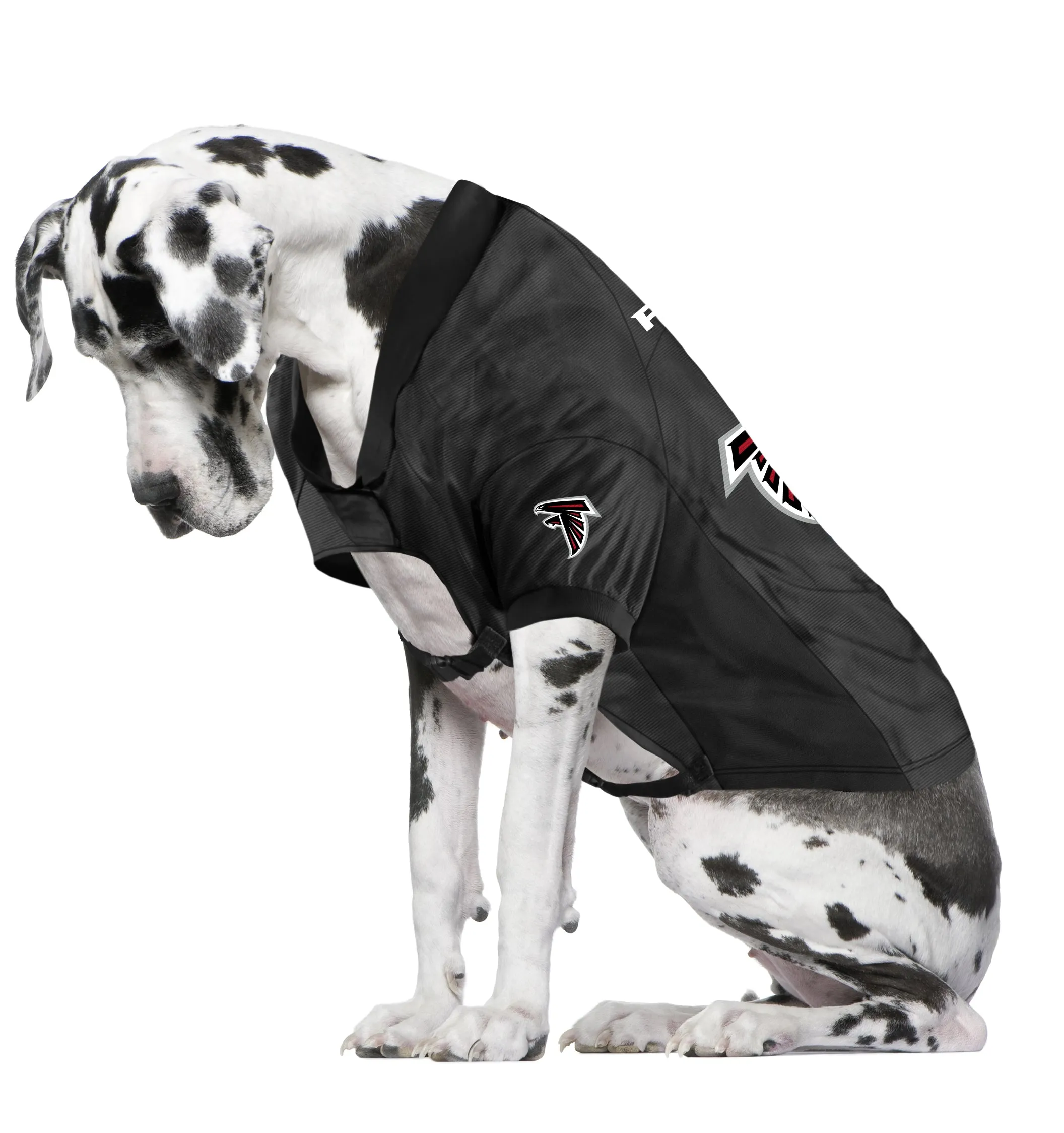 Atlanta Falcons Big Pet Stretch Jersey