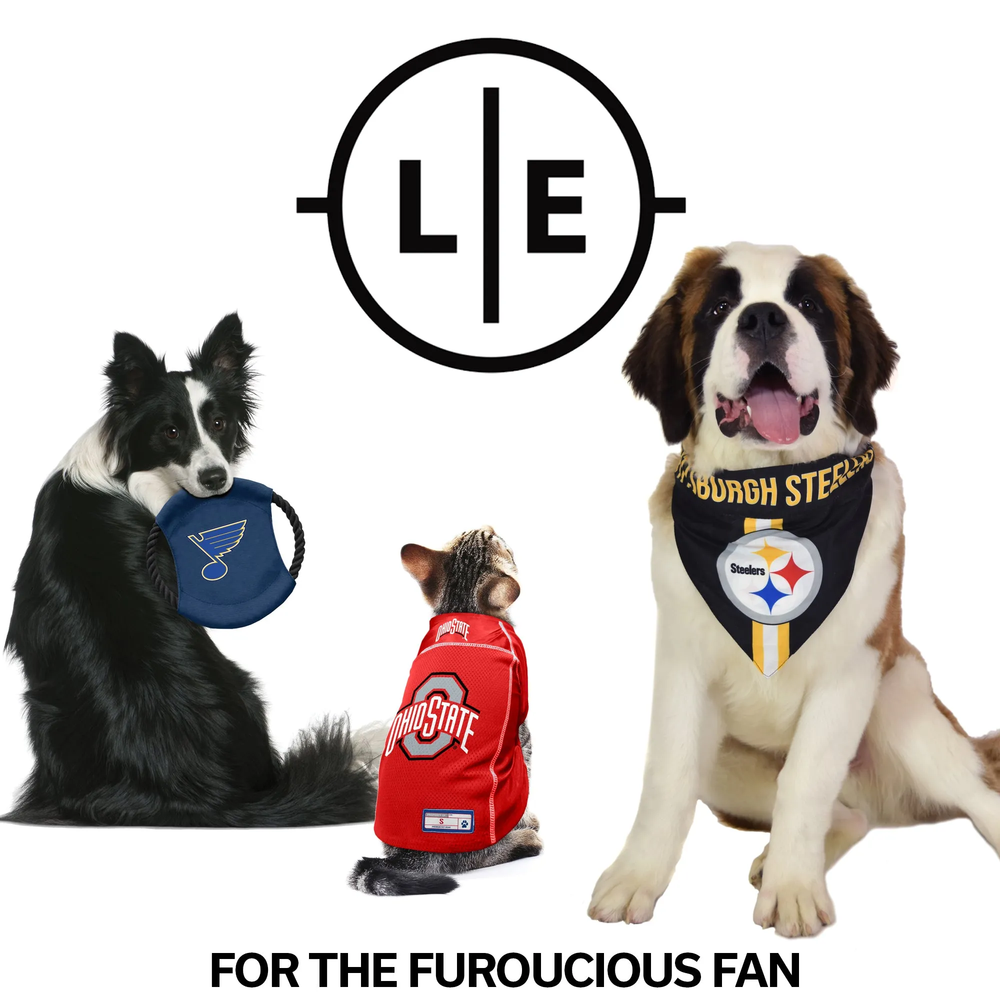 Atlanta Falcons Pet Team Lead