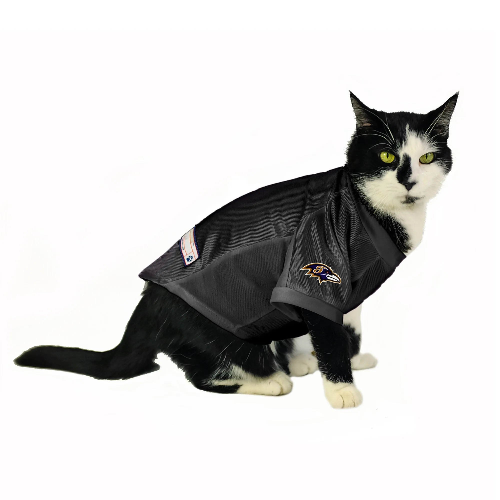 Baltimore Ravens Custom Pet Stretch Jersey