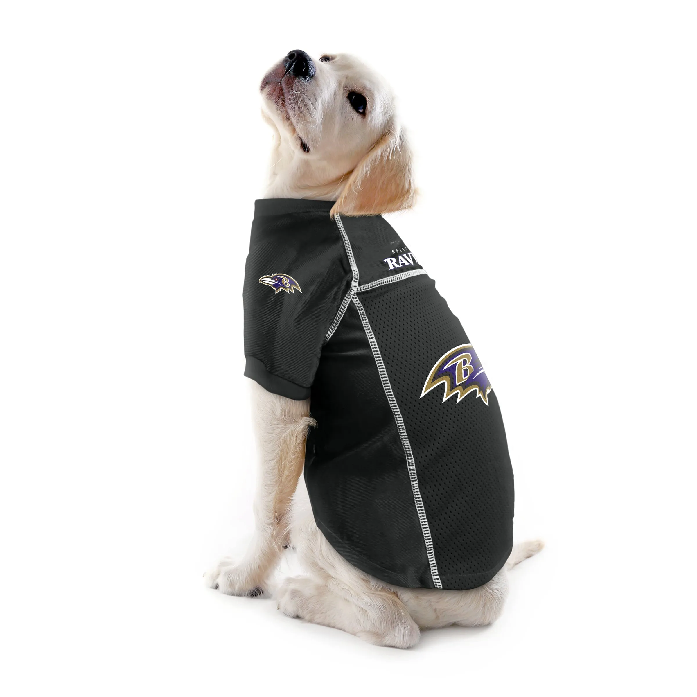 Baltimore Ravens Pet Jersey