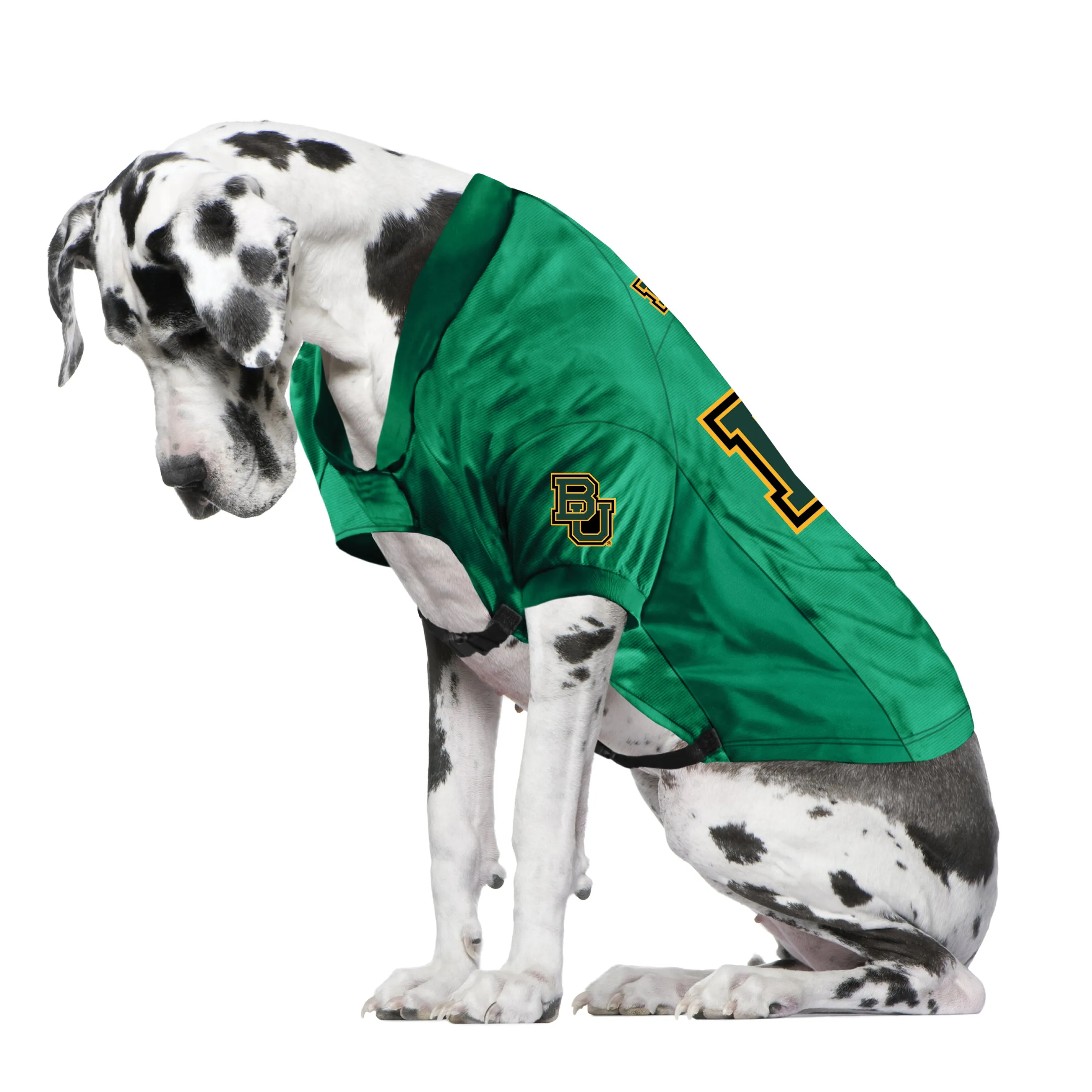 Baylor University Big Pet Stretch Jersey