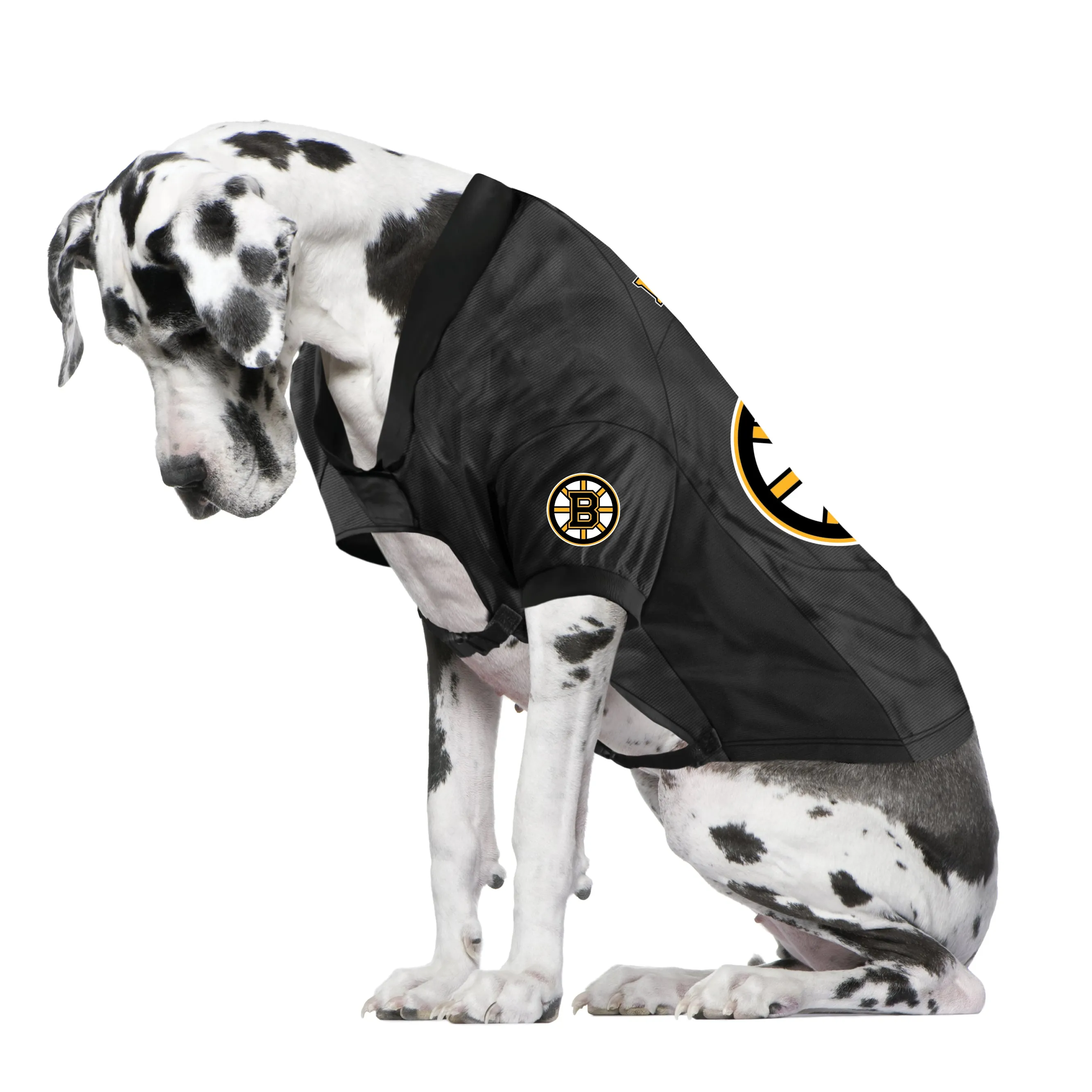 Boston Bruins Big Pet Stretch Jersey