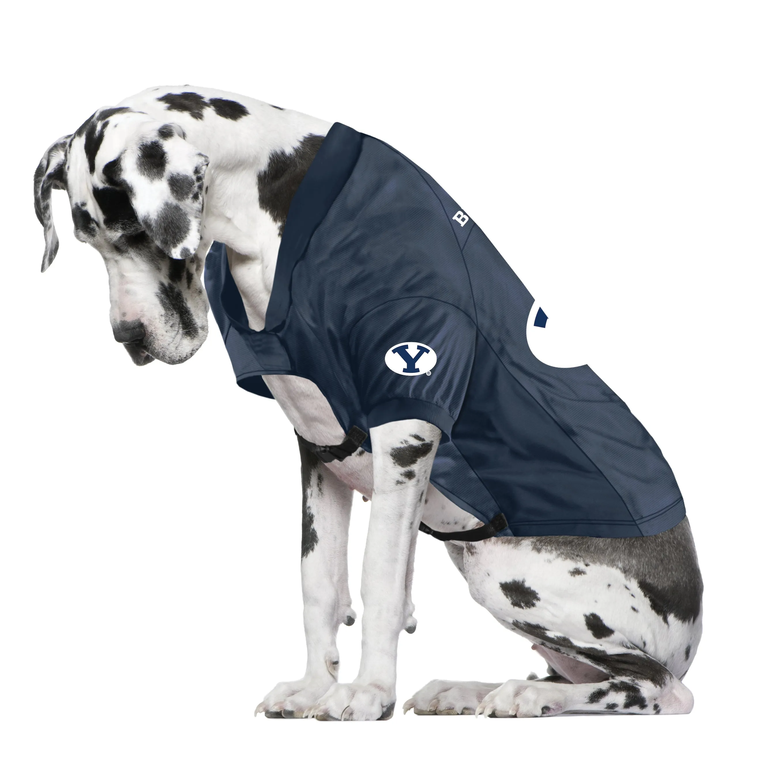 Brigham Young University Big Pet Stretch Jersey