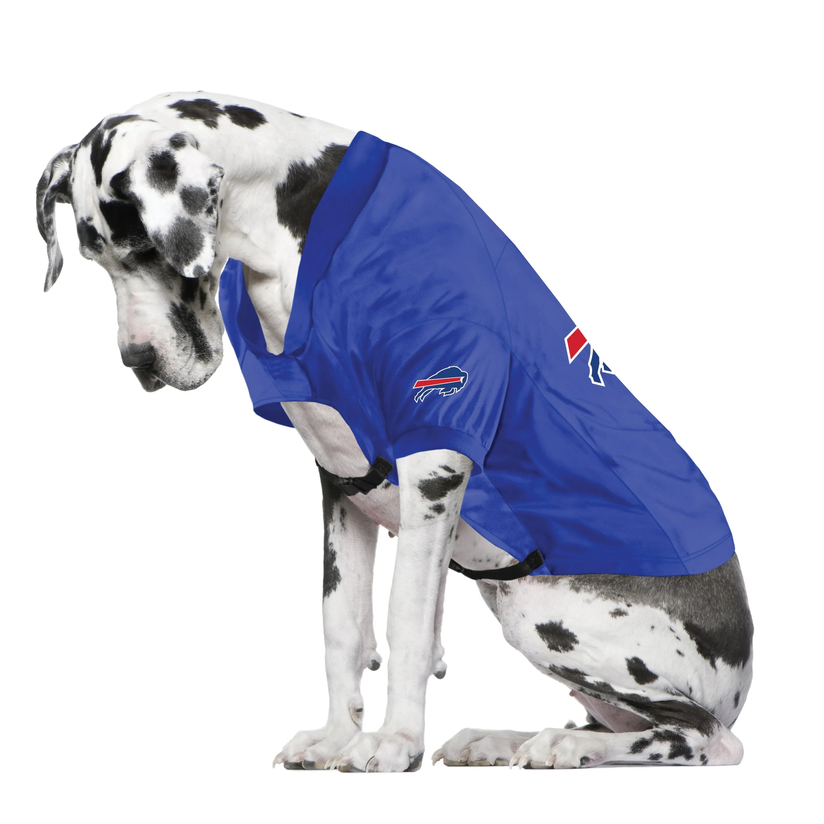 Buffalo Bills Big Custom Pet Stretch Jersey