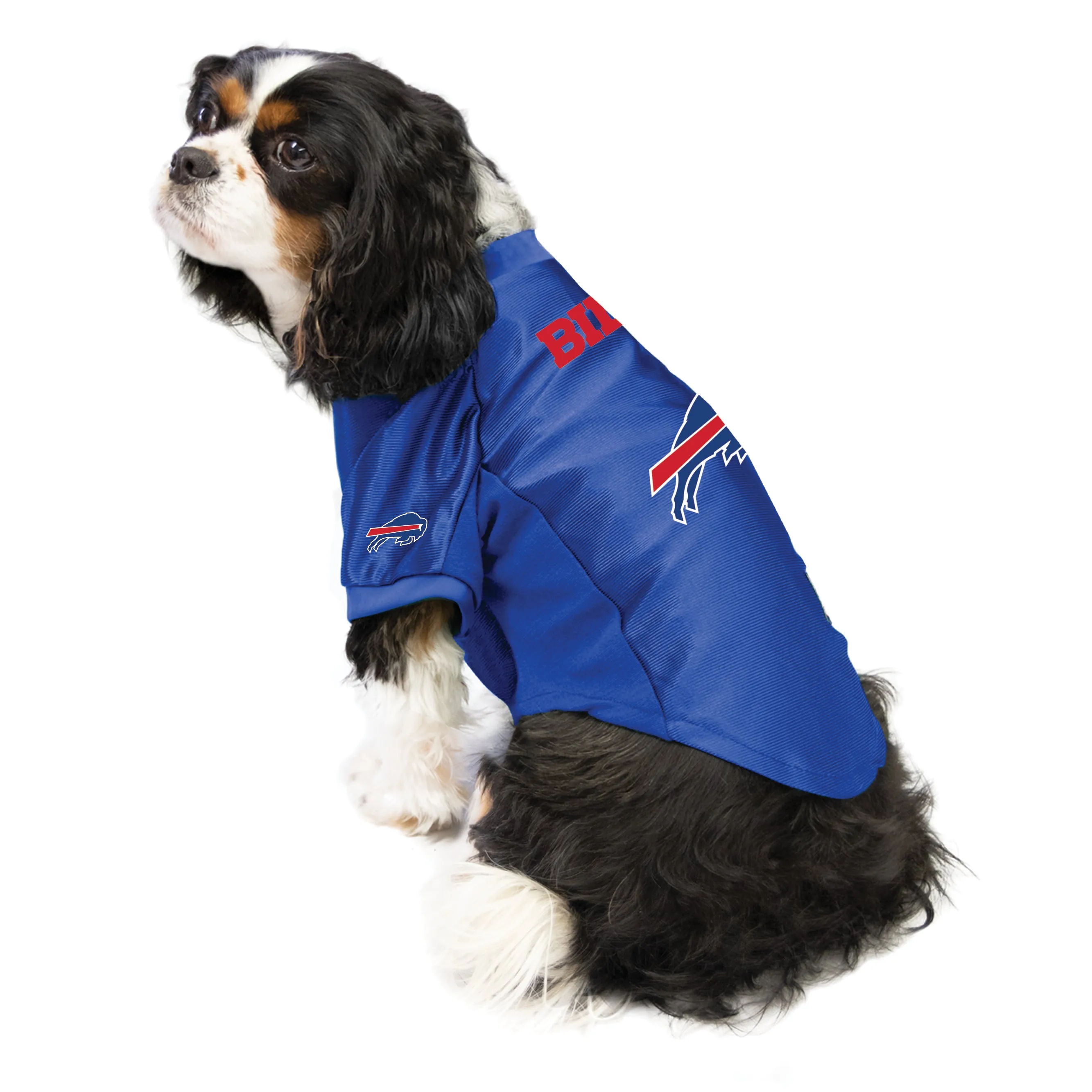 Buffalo Bills Pet Stretch Jersey