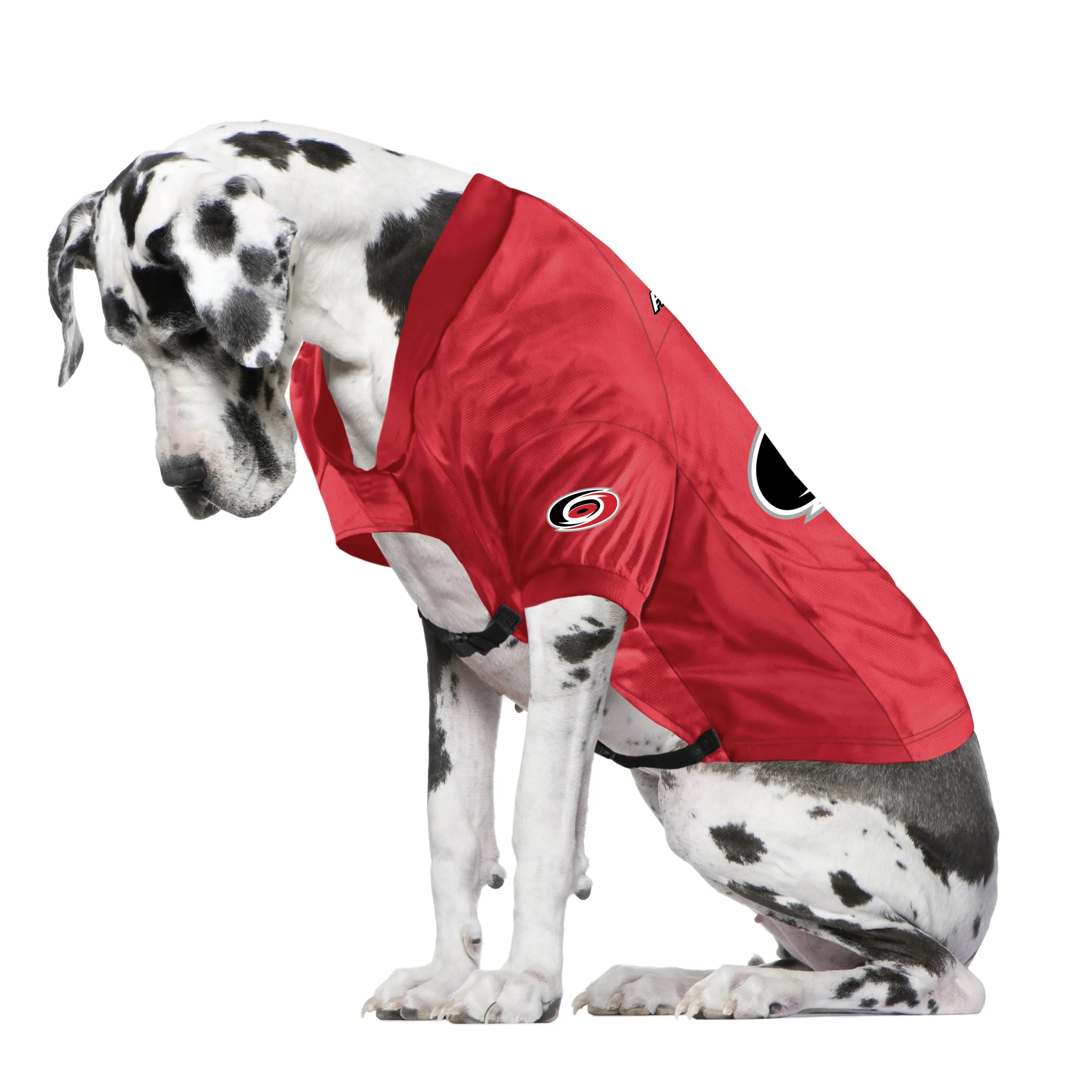 Carolina Hurricanes Big Pet Stretch Jersey