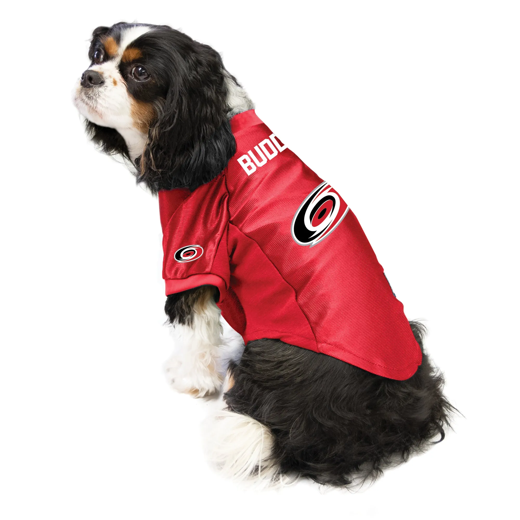 Carolina Hurricanes Custom Pet Stretch Jersey