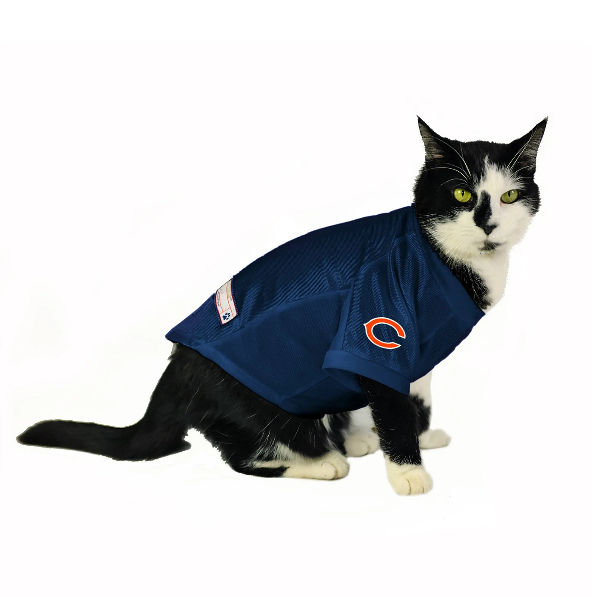 Chicago Bears Custom Pet Stretch Jersey