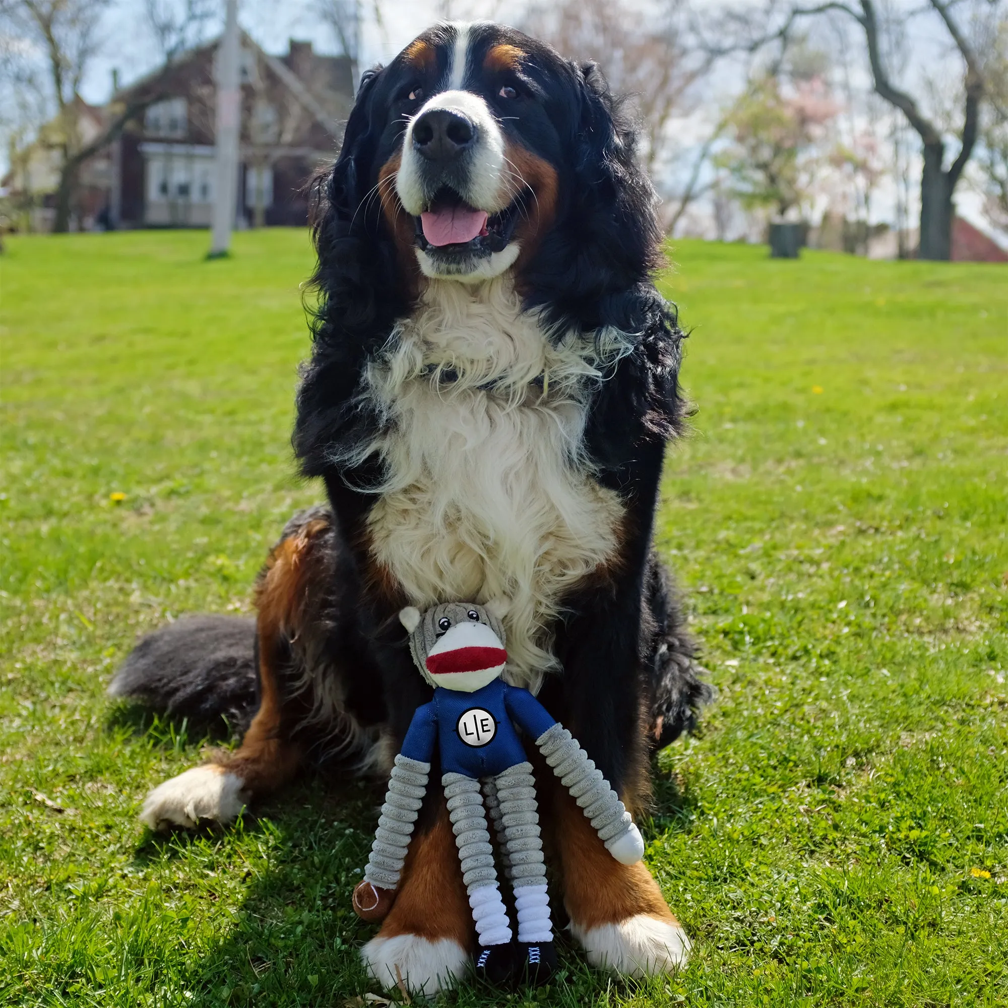 Chicago Bears Team Sock Monkey Pet Toy