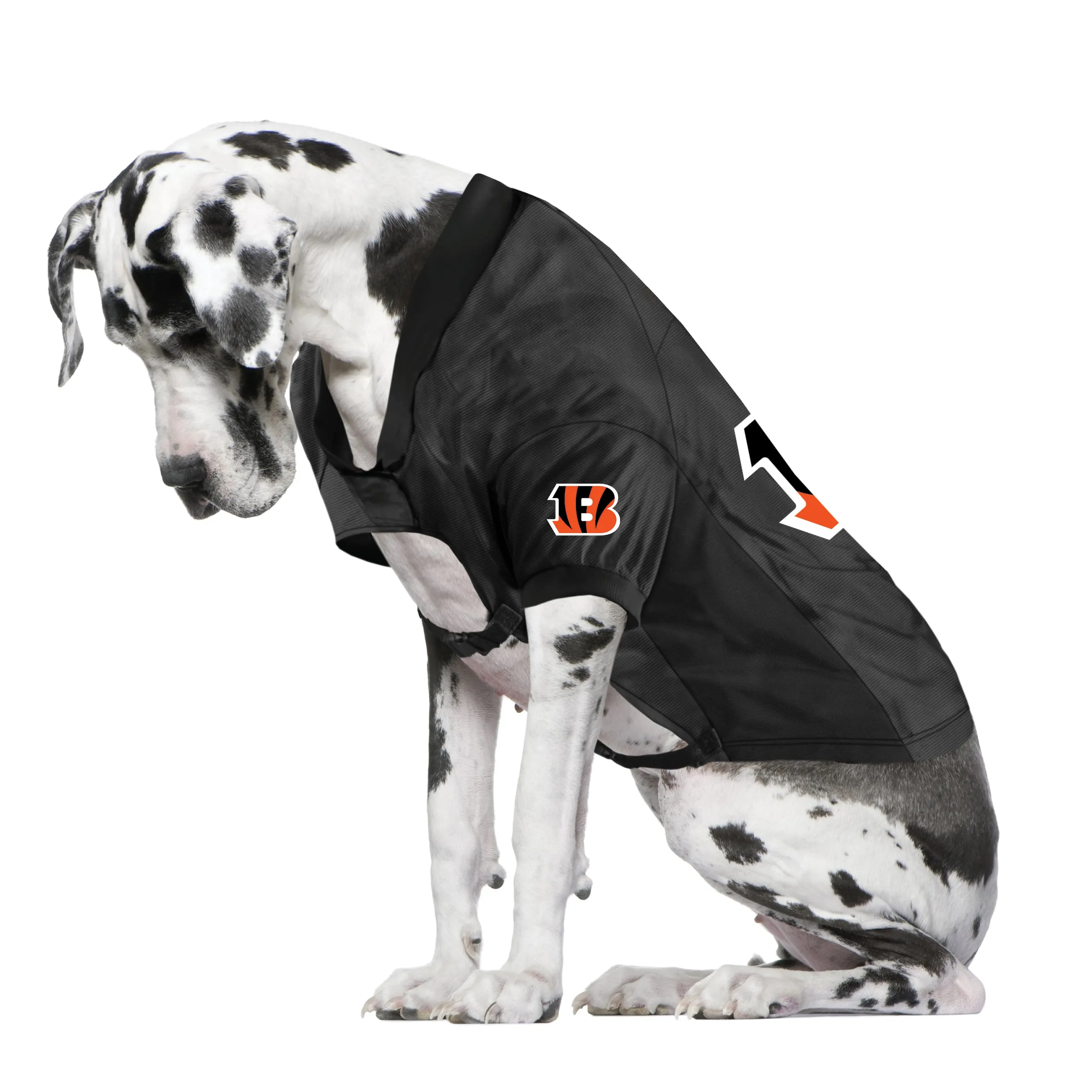 Cincinnati Bengals Big Custom Pet Stretch Jersey