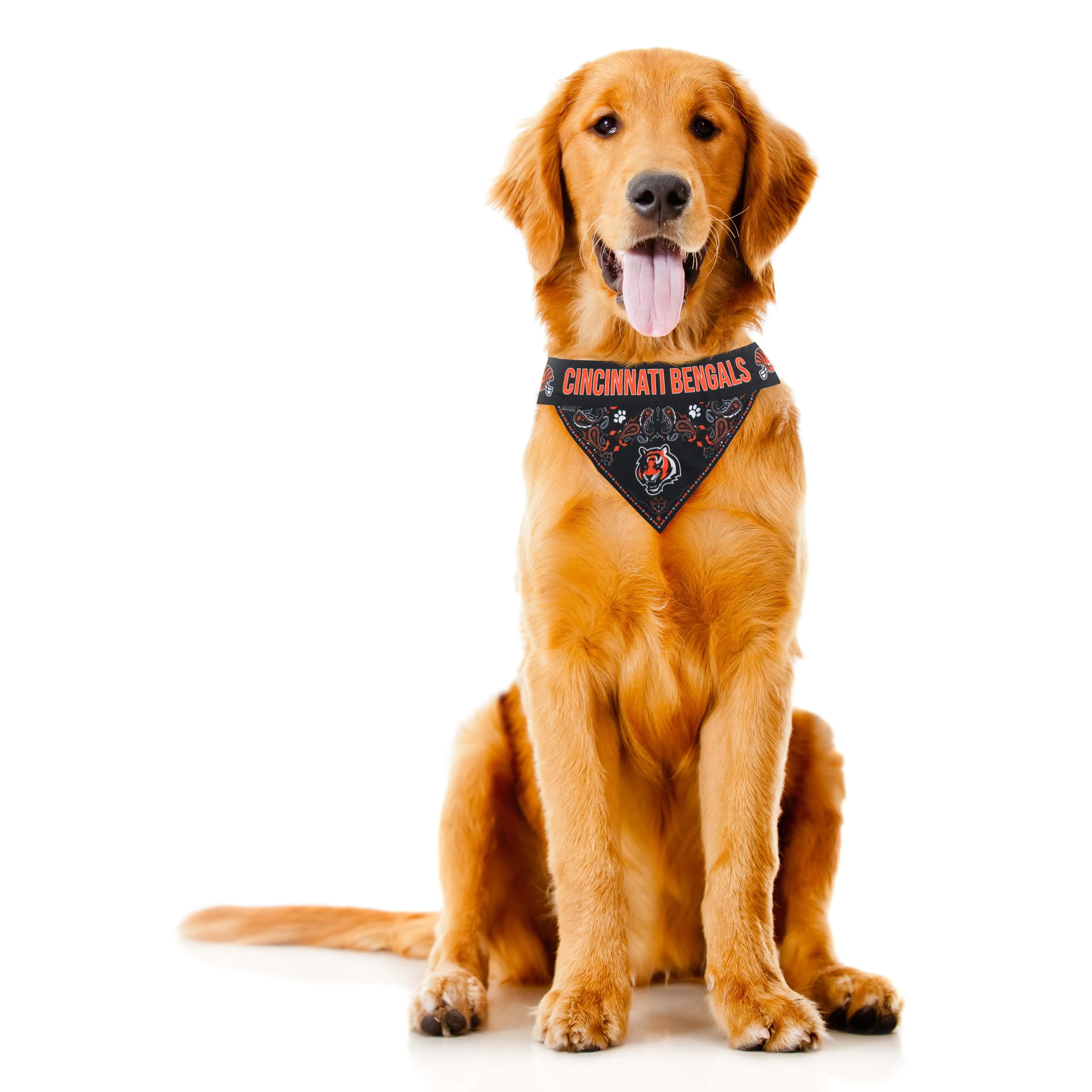 Cincinnati Bengals Pet Bandana