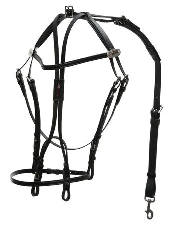 International Open Bridle - 1542-PCN