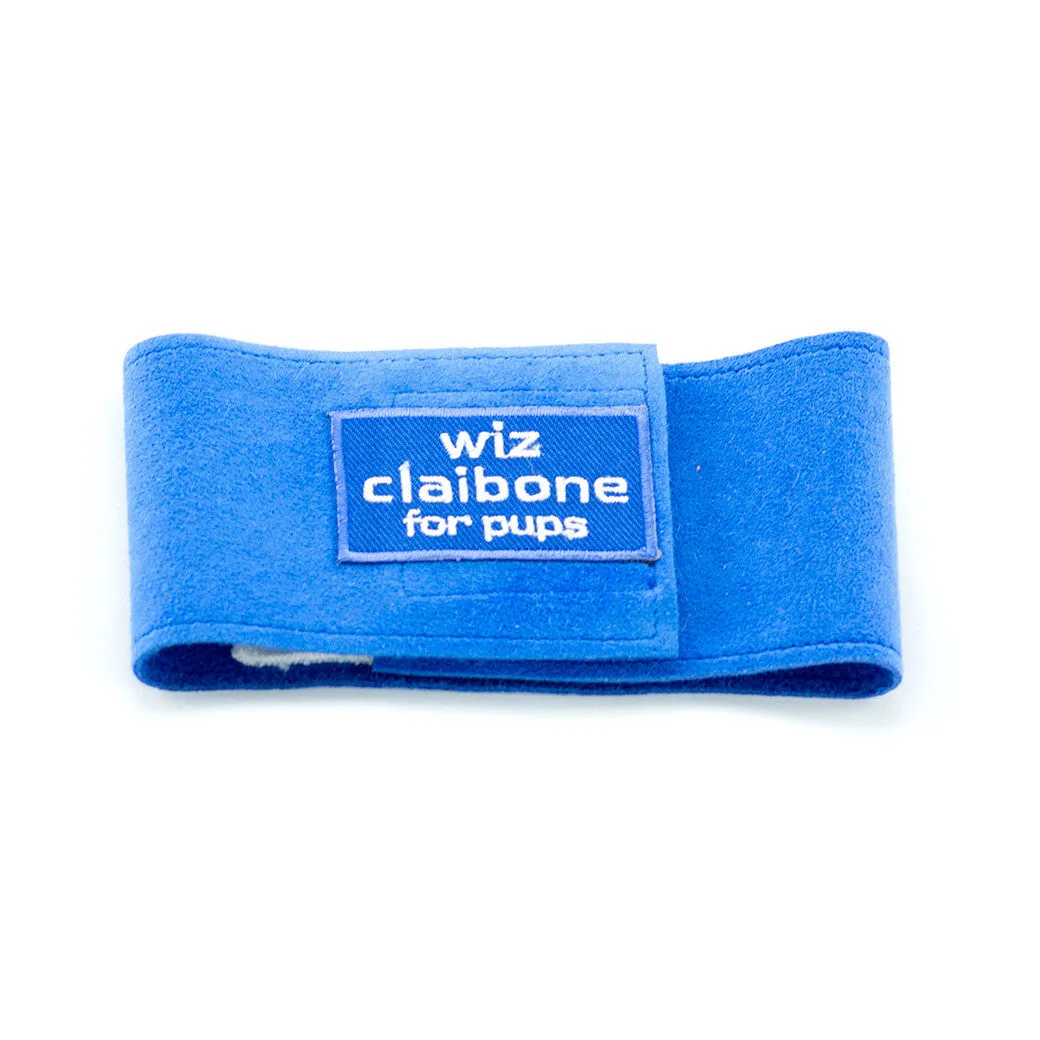 Wiz Claibone Royal Blue Wizzer